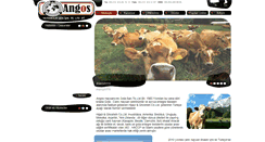Desktop Screenshot of angoshayvancilik.com
